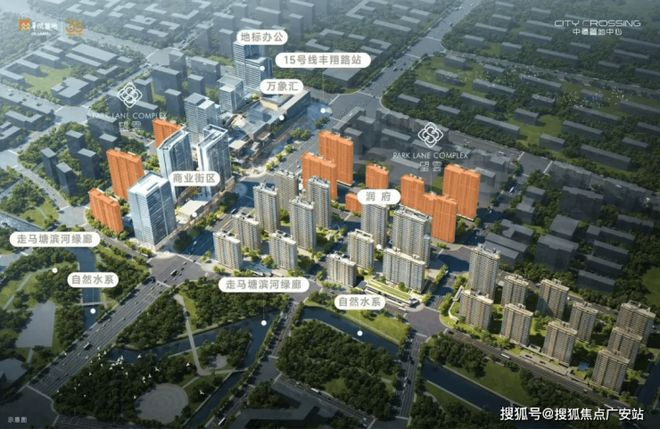 处中环中心·望云发布：先锋艺术人居开元棋牌®中环置地中心·望云售楼(图21)